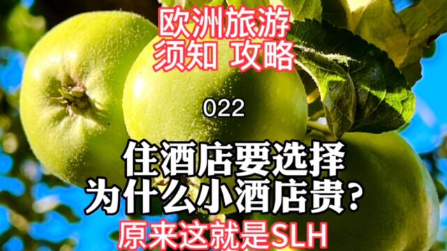 欧洲旅游须知攻略022 住酒店要选择 为什么小酒店反而贵?原来这就是SLH 2