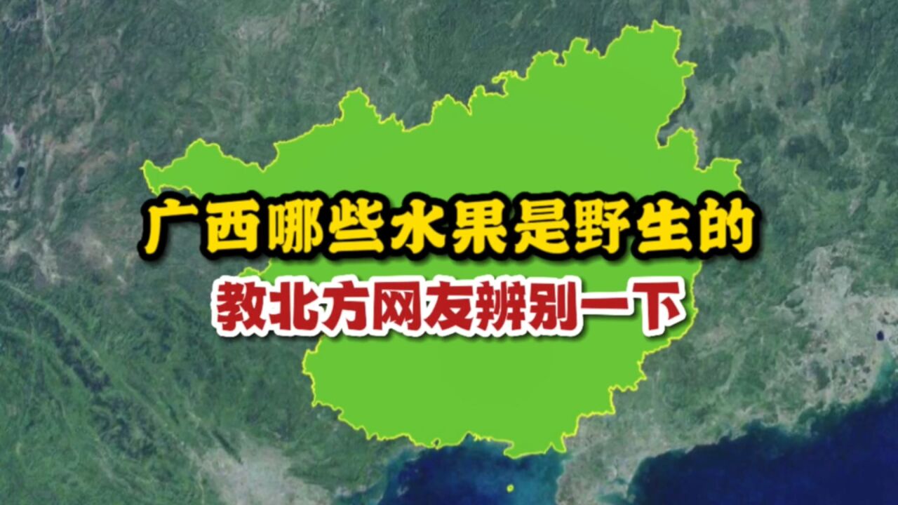 广西哪些水果是野生的?教北方网友辨别一下!