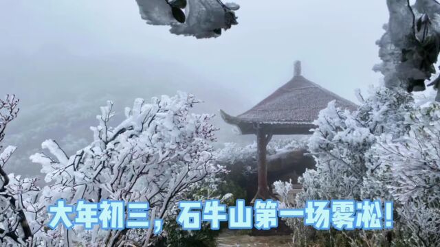 福建多地下雪!南安最低3.3℃!未来天气还有反转……