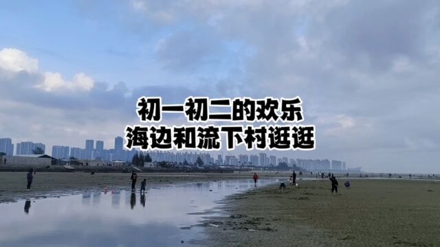 过年到处玩乐,每年到北海都要去的流下村和冠头岭海滩,人太多啦