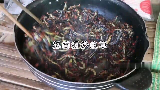 越南冬日滋补产品,越南虫草有老铁吃过吗?