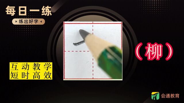 《柳》每日一练,小学二年级同步生字