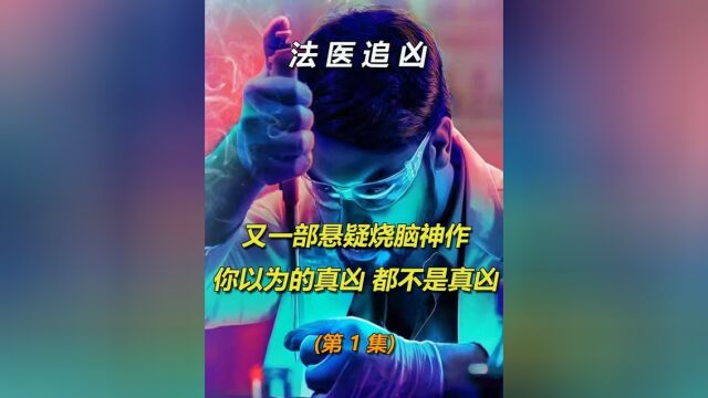 又一部悬疑烧脑神作,你以为的真凶,未必都是真的4