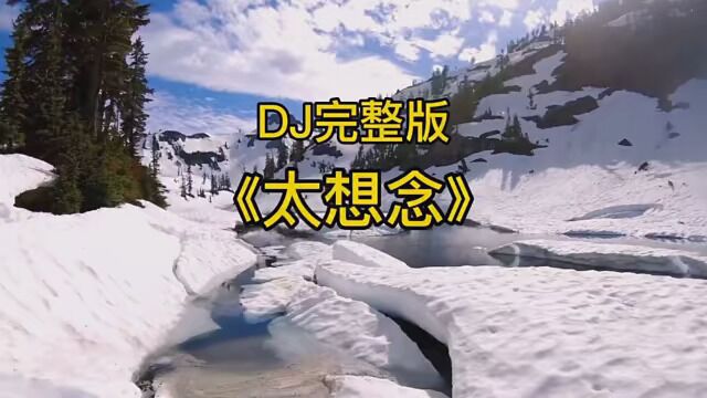 《太想念》DJ完整版