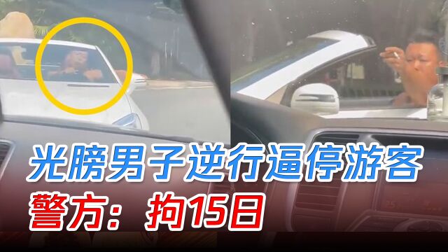 男子光膀子开车不系安全带逆行,游客提醒反被逼停,警方:拘15日