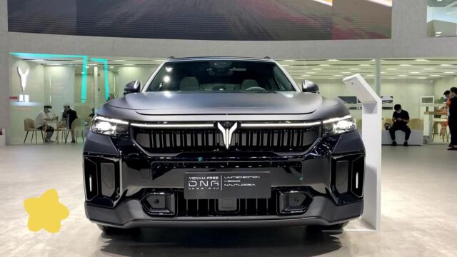 中大型SUV2023款岚图 FREE 纯电版,岚图汽车中大型纯电SUV实拍