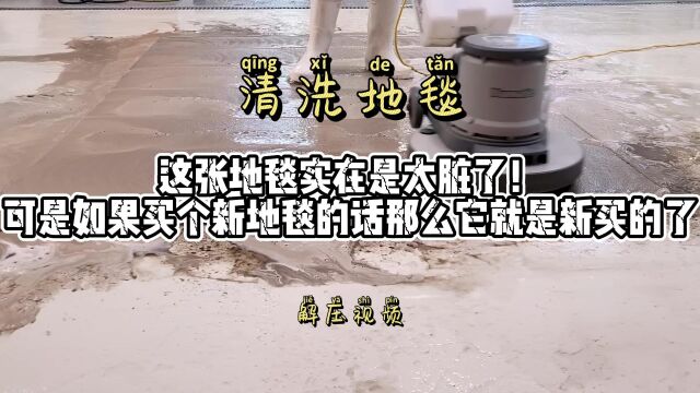 这张地毯实在是太脏了!可如果买个新地毯的话那么它就是新买的了