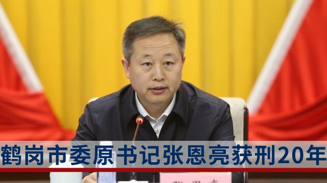 鹤岗市委原书记张恩亮获刑20年:曾经光环围绕,却在成长“黄金期”折戟