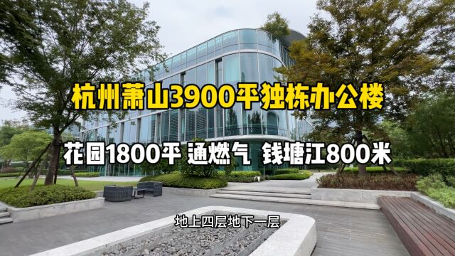 杭州萧山3900平独栋办公楼,花园1800平、通燃气,钱塘江800米!