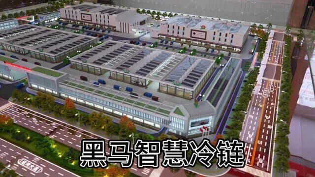 山东黑马集团,600亩黑马农副产品智慧冷链物流中心项目盛大启动!#菜篮子#民生#三农#项目启动