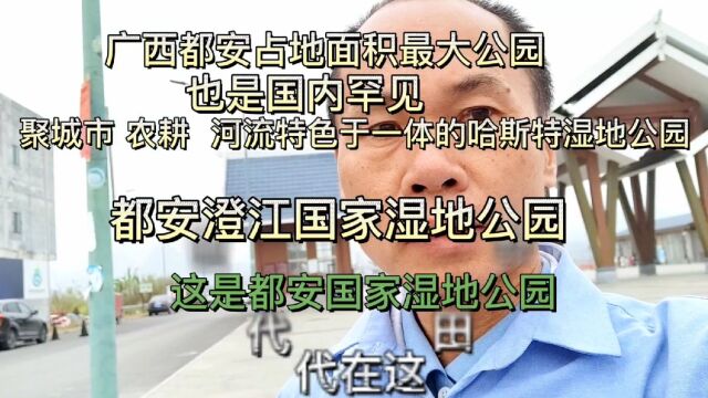 广西都安县澄江国家湿地公园 是国内面积最大罕见的哈斯特岩溶湿地公园 占地面积 达864公顷