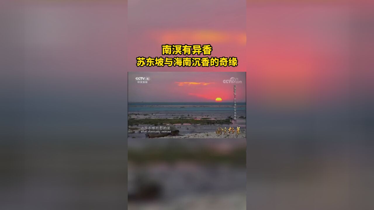 南溟有异香——苏东坡与海南沉香的奇缘