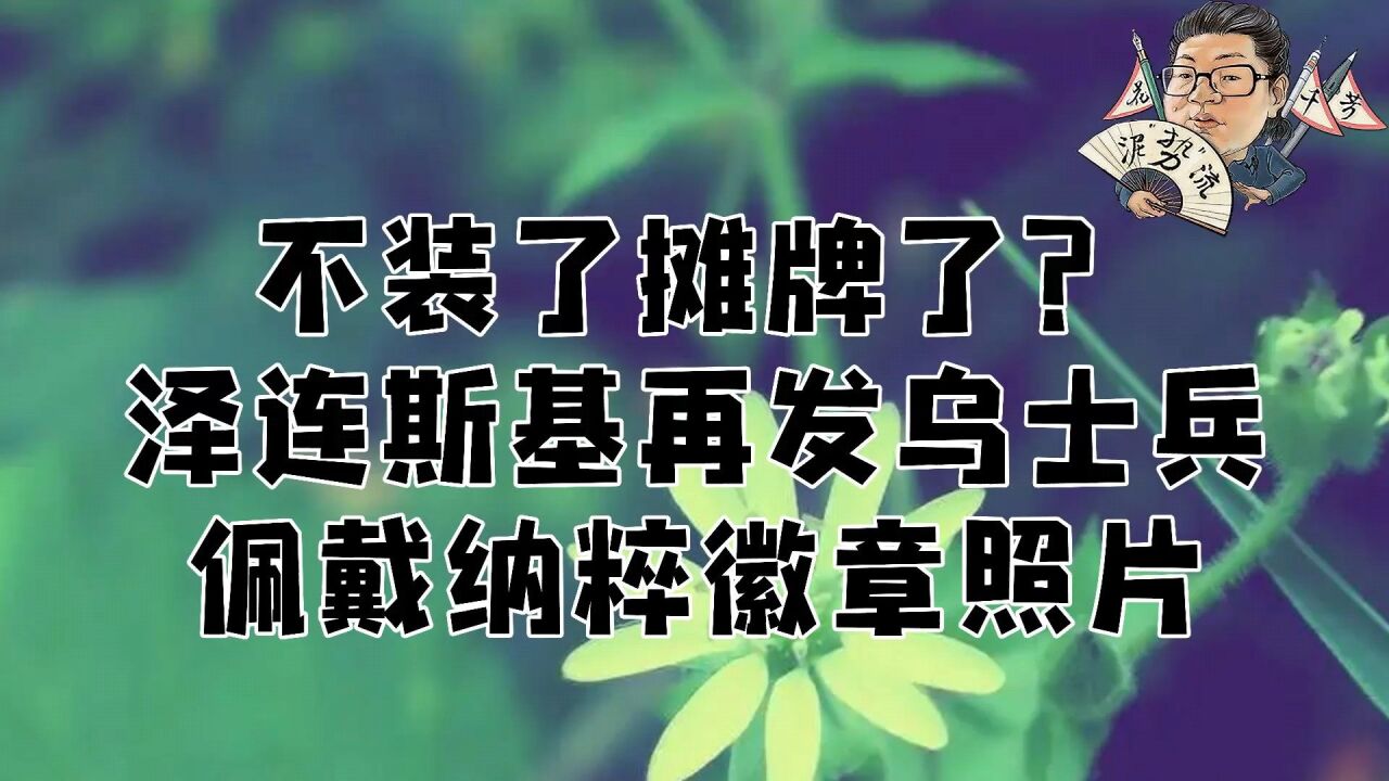 花千芳:不装了摊牌了?泽连斯基再发乌士兵佩戴纳粹徽章照片