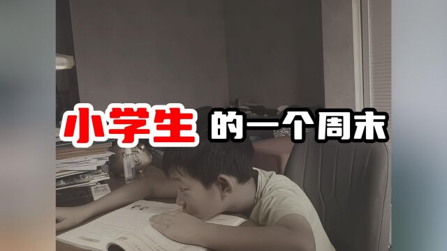 小学生的一个周末