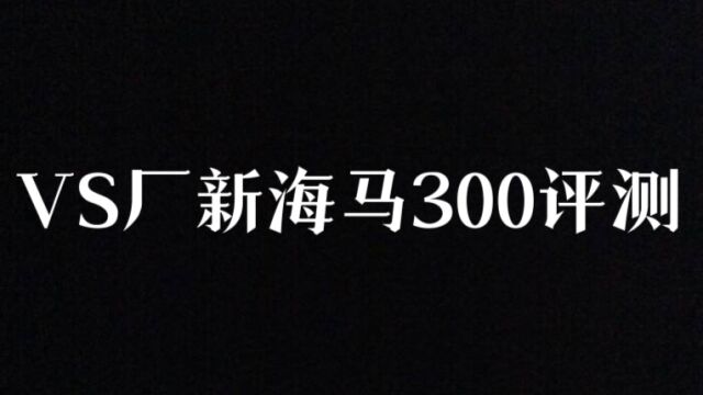 VS厂新海马300评测对比