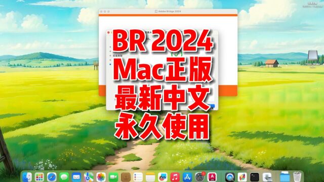 BR2024mac下载,BR2024mac正版中文下载,支持M1M2永久使用.