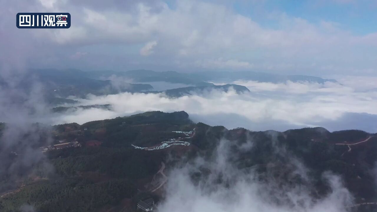 川渝好风光丨在这个春暖花开的时节 泸州开启“梅”好时光