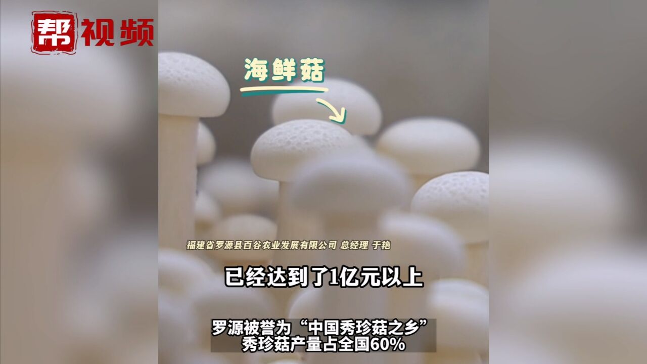 罗源这个村靠种菇年产值过亿!听返乡创业青年讲菌菇“致富经”