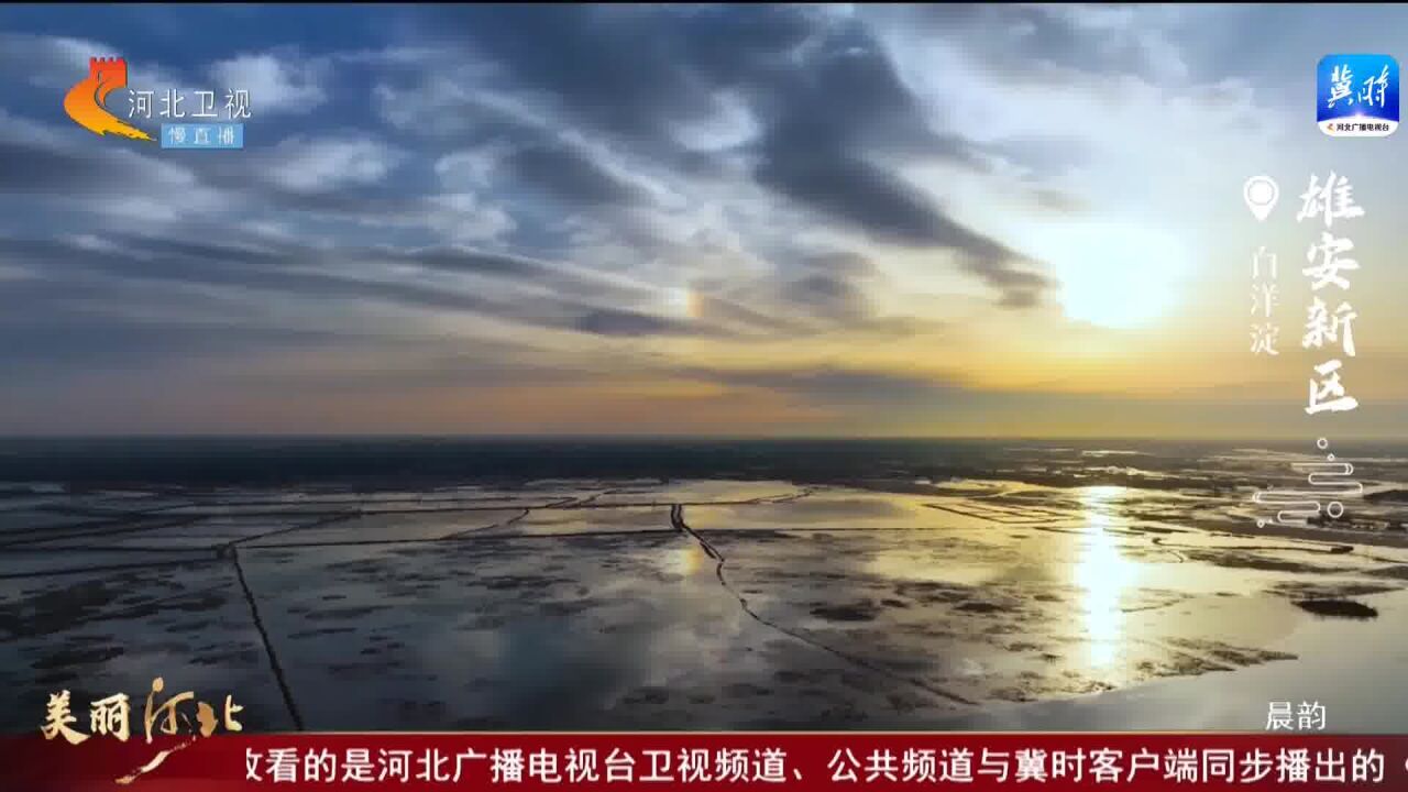 美丽河北|雄安新区绘就新城新貌 鸟飞鱼跃尽显生态之美