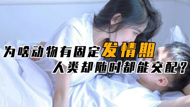 为啥动物的“发情期”固定,人类却随时可以进行交配?看后便知晓