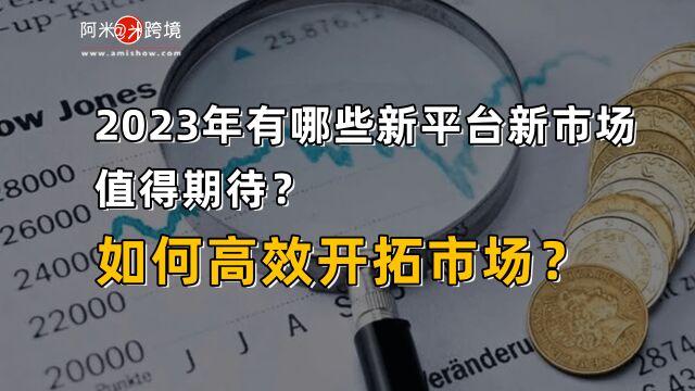 2023年有哪些新平台新市场值得期待?如何高效开拓市场?