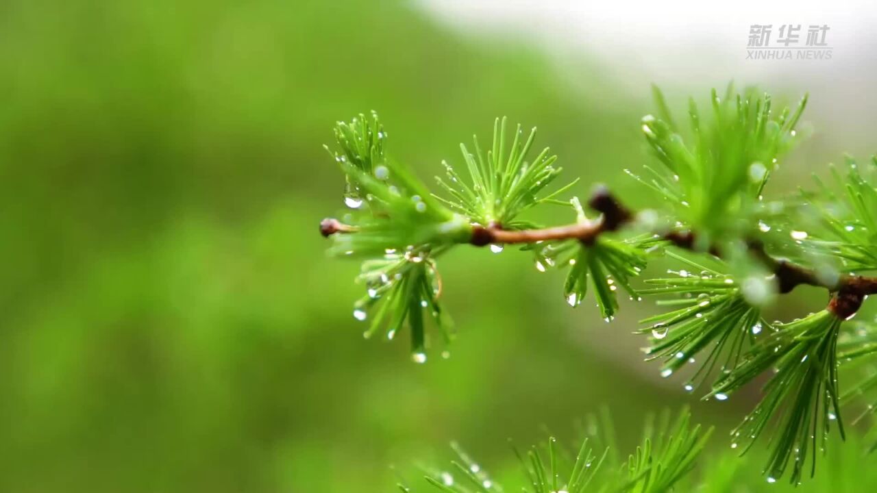 秋日六盘烟雨美