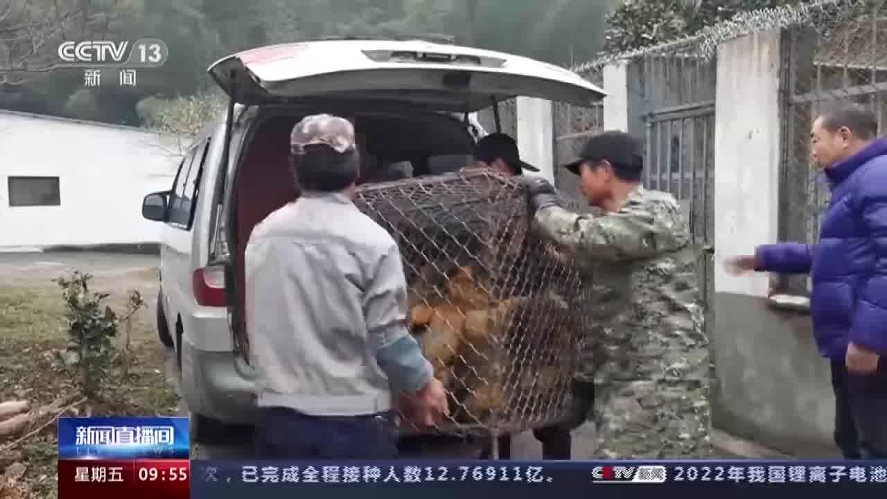 警方斩断一条野生动物交易链