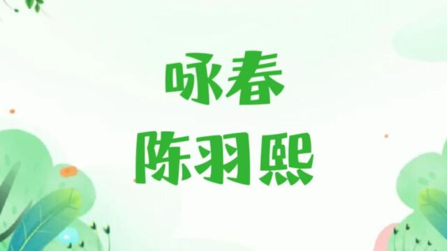 陈羽熙 咏春