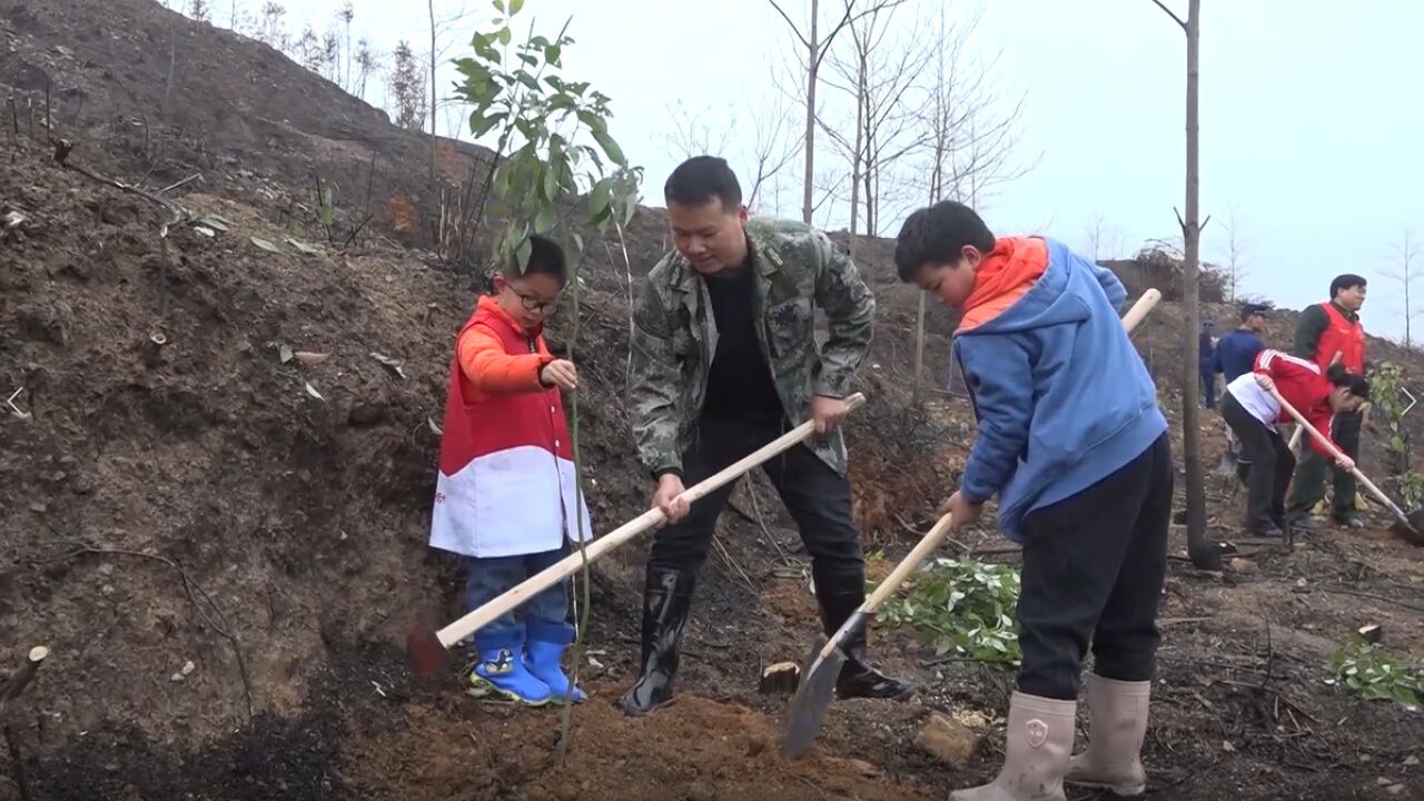 湖南祁东:“马甲红”守护“生态绿”