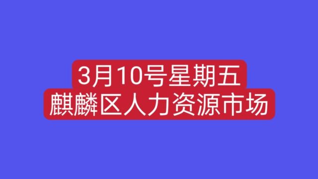 3月10号星期五,实拍麒麟区人力资源市场,这里开招聘会人非常多