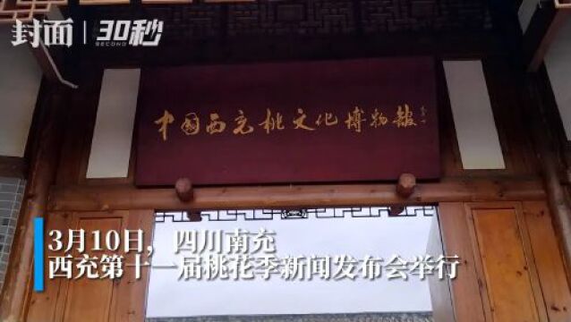 30秒 | 奏响春日序曲 四川西充第十一届桃花季新闻发布会举行