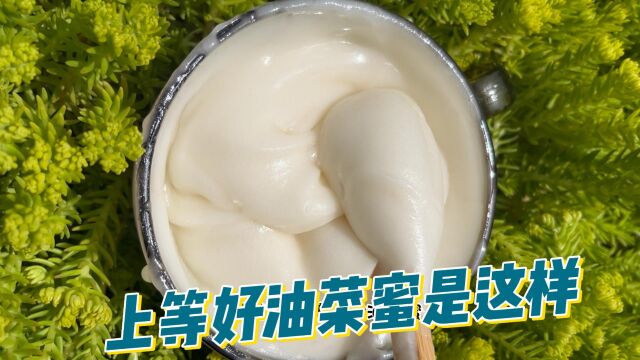 你吃过油菜蜜没有?你知道上等的好油菜蜜长什么样吗?