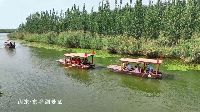 秋天的东平湖,美得让人心醉神迷,湖水碧绿如玉,游船穿梭其中,构成一幅醉人的山水画卷