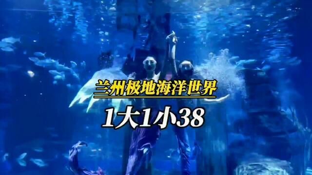 兰州极地海洋世界一大一小38购票攻略. 这次的活动是真的很给力,但是我看到很多朋友不知道怎么买,所以有了这期视频…