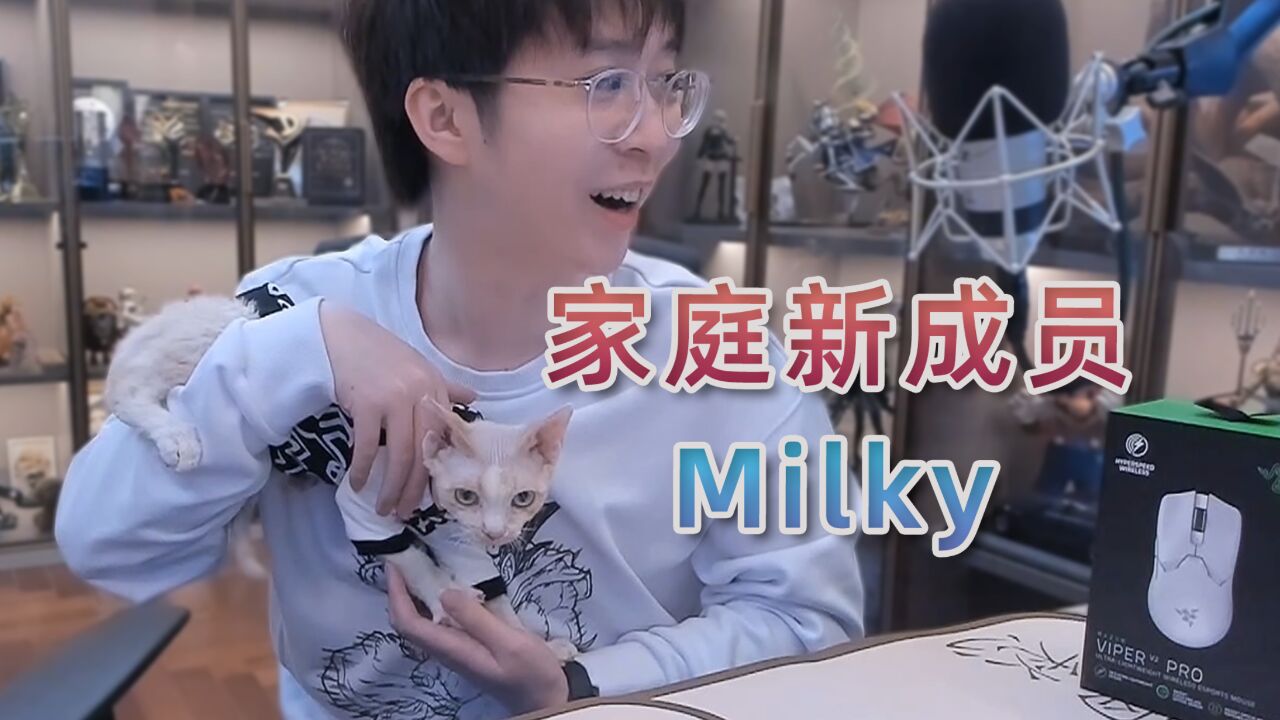 给大家介绍一下我家的新成员:德文卷毛Milky~