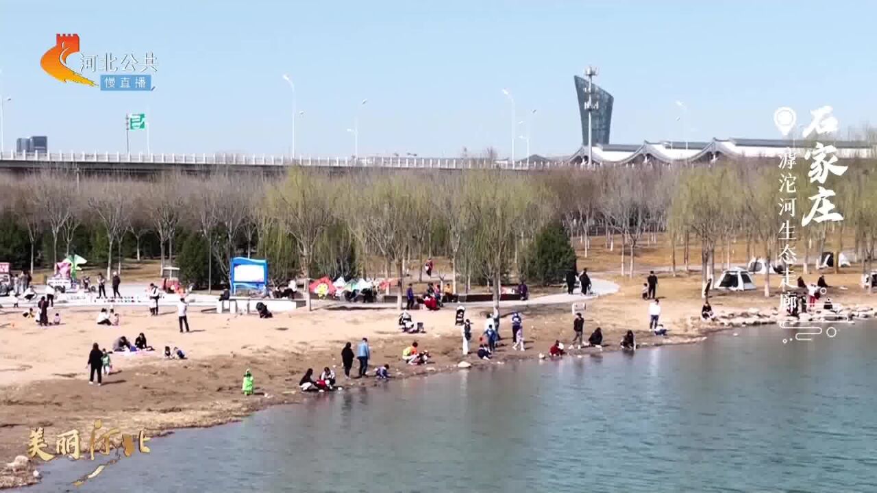 美丽河北丨穿行滹沱河生态走廊,诗意春光尽在水畔河岸 这么近 那么美 周末到河北