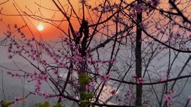 每次归途都是一种享受,我从广元到剑阁,看看这一路风景怎么样?