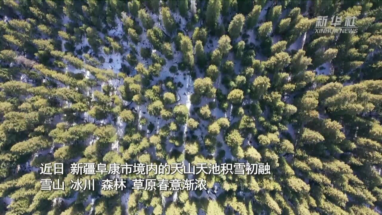 新疆天池:积雪初融 景色秀美