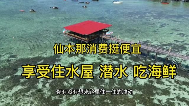 仙本那之旅.这里消费其实挺便宜,有平民水屋,尤其吃海鲜太爽了 #仙本那马步岛 #仙本那旅游攻略 #旅行vlog