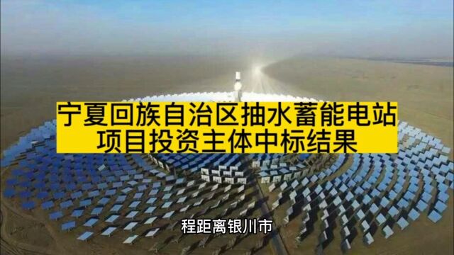 宁夏回族自治区抽水蓄能电站项目投资主体中标结果