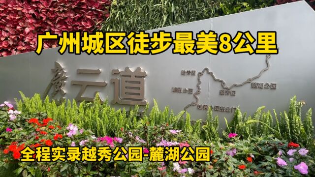 城区徒步最美8公里,云端漫步超长悬空天桥,广州云道