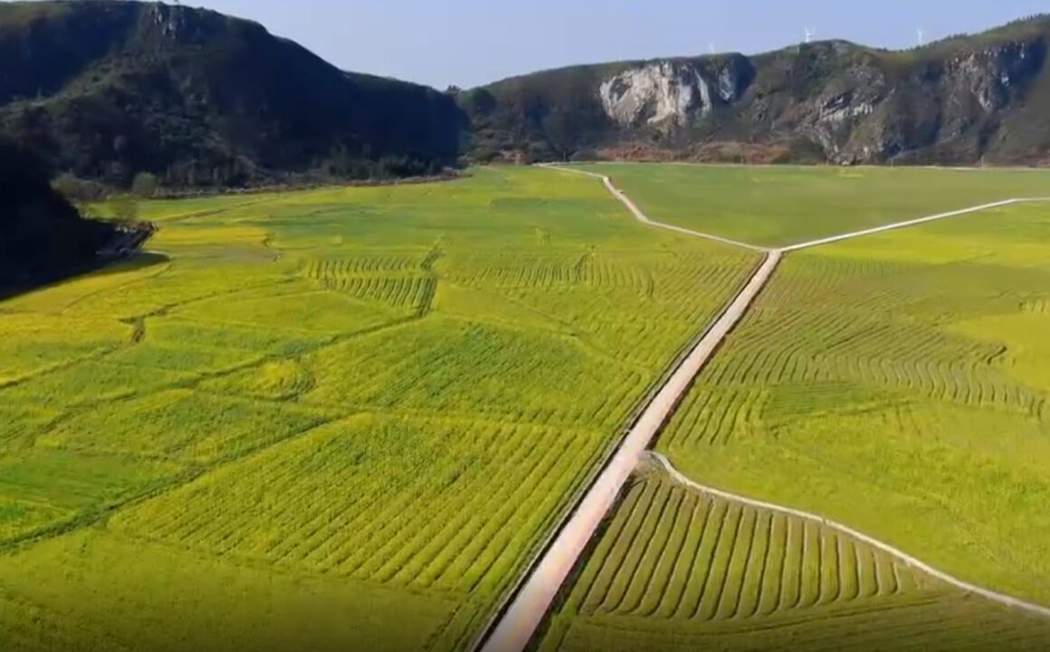 宜章平和村:千亩油菜花,等你来“见”