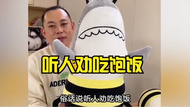 听人劝吃饱饭,从油腻大叔到帅气小哥,老板卖谐音抱枕走红网络