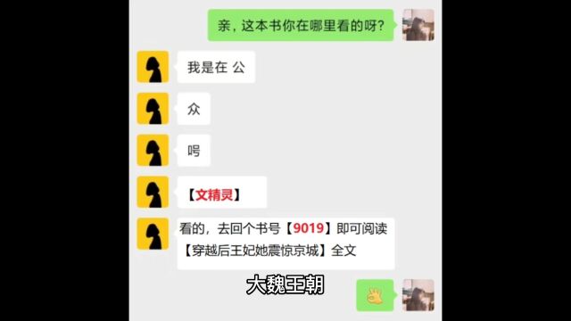 古言《穿越后王妃她震惊京城》赵音柒全文小说