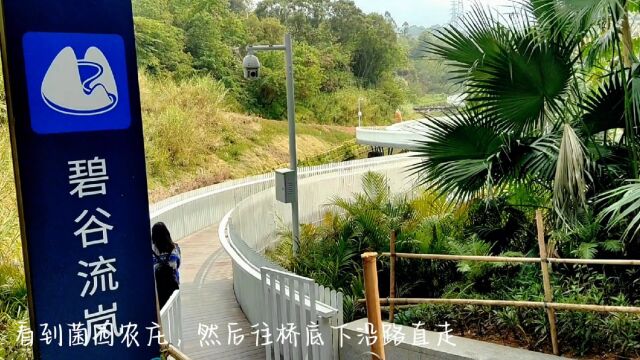 深圳龙岗白桥旅行攻略.