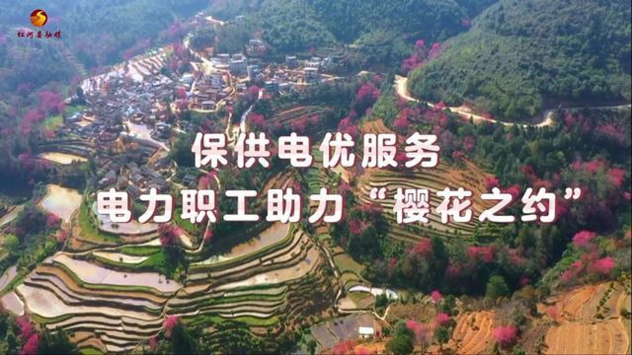 红河县供电局:保供电优服务电力职工助力“樱花之约”