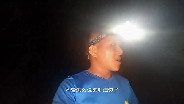 阿明赶海竟发现海货大聚会,个个都是值钱货,今晚发大财了