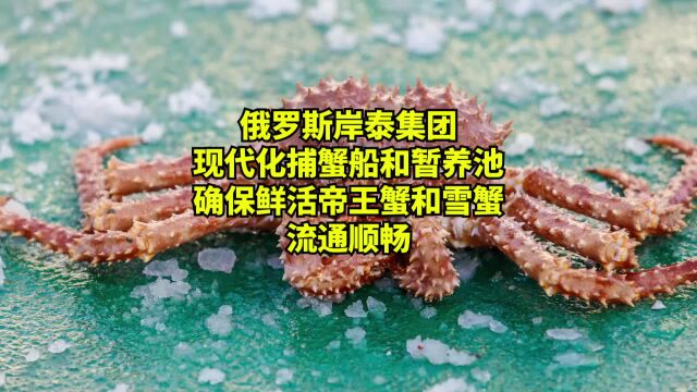 俄罗斯岸泰现代化捕蟹船和暂养池,确保鲜活帝王蟹雪蟹流通顺畅