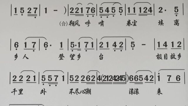 潮剧曲谱伴奏 塞外另谱忠义篇(陈俊苞、陈燕华)《王昭君》唱段伴唱OK附简谱动态练习纯伴奏乐