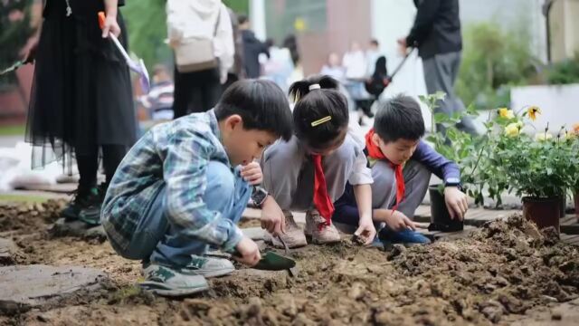 共创社区花园